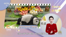 国产高清视频免费最新在线